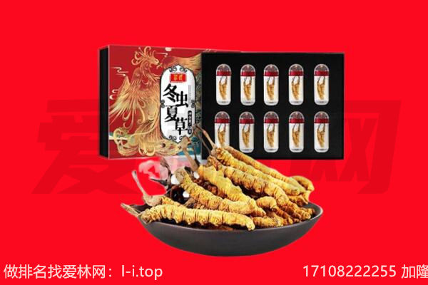 商丘回收虫草.jpg